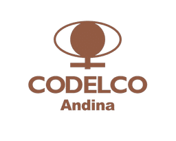 CODELCO ANDINA logo